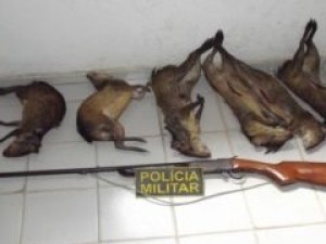 Animais foram mortos pelo caçador