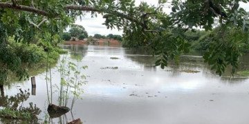 Barras: 32 famílias ilhadas resistem em deixar casas próximas ao rio Marataoan