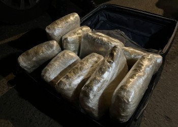 Polícia apreende 10 kg de droga avaliados em R$ 400 mil em ônibus