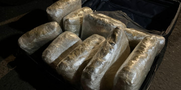 Polícia apreende 10kg de droga avaliados em R$ 400 mil em ônibus de viagem